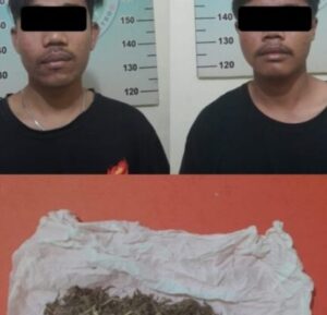Satres Narkoba Polres Metro Amankan Diduga Dua Kurir Ganja