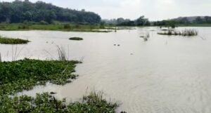 PN Lampung Timur Tolak Gugatan Lahan Desa Girikelopomulyo,Karna Tidak ada Bukti Kepemilikan