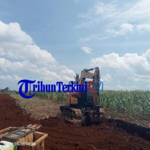 Aktivitas Exsavator di kawasan hutan lindung register 38 di Stop, UPTD Tinggal Nunggu Perintah