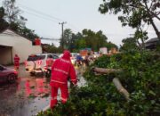 POLRES METRO LAKSANAKAN PATROLI SIAGA BENCANA, EVAKUASI POHON TUMBANG DI TIGA TITIK