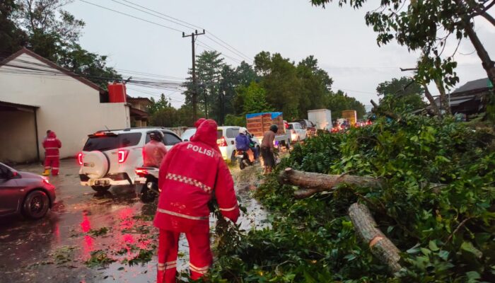 POLRES METRO LAKSANAKAN PATROLI SIAGA BENCANA, EVAKUASI POHON TUMBANG DI TIGA TITIK