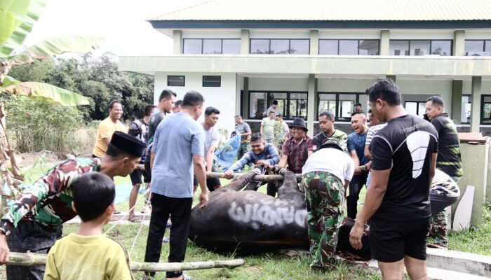 DANDIM 0429/LAMPUNG TIMUR SERAHKAN HEWAN KURBAN USAI SHOLAT IDUL ADHA